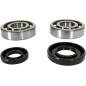 Kit roulements et joints spi de vilebrequin PROX pour YAMAHA YZ 250, YZ 250 X de 2001 à 2024 Kit roulements et joints spi de vilebrequin PROX pour YAMAHA YZ 250, YZ 250 X de 2001 à 2024