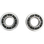 PROX Kurbelwellenlager- und Simmerring-Kit für YAMAHA WR 250 F, YZ 250 F und GAS GAS EC 250 F, EC 300 F von 2001 bis 2027