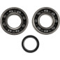 Kit de rodamientos y retenes de cigüeñal PROX para KAWASAKI KX 250 F y SUZUKI RM-Z 250 de 2004 a 2019