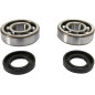PROX crankshaft bearing and seal kit for KTM SX 60, SX 65 from 1998 to 2008 PROX crankshaft bearing and seal kit for KTM SX 60, SX 65 from 1998 to 2008
