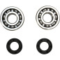 Kit roulements et joints spi de vilebrequin PROX pour KTM SX 60, SX 65 de 1998 à 2008 Kit roulements et joints spi de vilebrequin PROX pour KTM SX 60, SX 65 de 1998 à 2008
