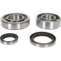 Kit roulements et joints spi de vilebrequin PROX pour KTM EXC 250, EXC 250 RACING, EXC 300, SX 250 de 1997 à 2003 Kit roulements et joints spi de vilebrequin PROX pour KTM EXC 250, EXC 250 RACING, EXC 300, SX 250 de 1997 à 2003