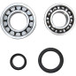 PROX Kurbelwellenlager- und Simmerring-Kit für KTM EXC 250, EXC 250 RACING, EXC 300, SX 250 von 1997 bis 2003