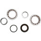 Kit de rodamientos y retenes de cigüeñal PROX para KTM SX-F 250 de 2006 a 2010