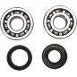 Kit roulements et joints spi de vilebrequin PROX pour YAMAHA YZ 80, YZ 80 LW, YZ 85 LW, YZ 85 SW de 1993 à 2018