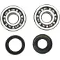 PROX Kurbelwellenlager- und Simmerring-Kit für YAMAHA YZ 80, YZ 80 LW, YZ 85 LW, YZ 85 SW von 1993 bis 2018 PROX Kurbelwellenlager- und Simmerring-Kit für YAMAHA YZ 80, YZ 80 LW, YZ 85 LW, YZ 85 SW von 1993 bis 2018