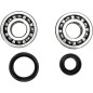 Kit roulements et joints spi de vilebrequin PROX pour YAMAHA YZ 250, YZ 250 WR de 1988 à 1997