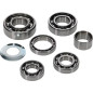 HOT RODS Getriebelager-Kit für HUSQVARNA TC 85, KTM SX 85 und GAS GAS MC 85 von 2020 bis 2024 HOT RODS Getriebelager-Kit für HUSQVARNA TC 85, KTM SX 85 und GAS GAS MC 85 von 2020 bis 2024
