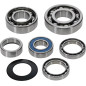 HOT RODS Getriebelager-Kit für HONDA CRF 250 R, CRF 250 RX von 2018 bis 2021 HOT RODS Getriebelager-Kit für HONDA CRF 250 R, CRF 250 RX von 2018 bis 2021