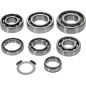 HOT RODS transmission bearing kit for YAMAHA WR 250 F, YZ 250 F, YZ 250 FX from 2019 to 2024 HOT RODS transmission bearing kit for YAMAHA WR 250 F, YZ 250 F, YZ 250 FX from 2019 to 2024