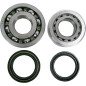 Kit roulements et joints spi de vilebrequin HOT RODS pour HONDA CRF 450 X de 2005 à 2018