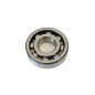 ATHENA engine bearing 28 × 68 × 18 mm for HONDA CR 250 R, YAMAHA YZ 250, SUZUKI RM 250 and KAWASAKI KX 250 from 1978 to 2016 ATHENA engine bearing 28 × 68 × 18 mm for HONDA CR 250 R, YAMAHA YZ 250, SUZUKI RM 250 and KAWASAKI KX 250 from 1978 to 2016