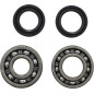 VINTCO crankshaft bearing and seal kit for YAMAHA DT 125, DT 175, MX 125, MX 175, YZ 100, YZ 125 from 1974 to 1983