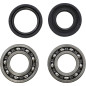 Kit roulements et joints spi de vilebrequin VINTCO pour YAMAHA DT 250, IT 250, MX 250, TY 250, YZ 250 de 1974 à 1987