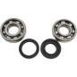Kit roulements et joints spi de vilebrequin VINTCO pour YAMAHA IT 400, IT 425, IT 465, MX 400, YZ 400, YZ 465 de 1975 à 1981