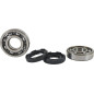 VINTCO Kurbelwellenlager- und Simmerring-Kit für YAMAHA IT 400, IT 425, IT 465, MX 400, YZ 400, YZ 465 von 1975 bis 1981