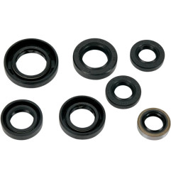 MOOSE RACING Motor-Simmerringsatz für HONDA TLR 200, XR 200 R von 1981 bis 2002