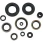 MOOSE RACING engine oil seal kit for KAWASAKI KX 250 from 1993 to 2008