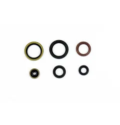 ATHENA Motor-Simmerringsatz für KTM SX 125, SX 150, HUSQVARNA TC 125, TE 150 und GAS GAS MC 125 von 2016 bis 2027