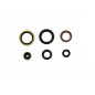 Kit joints spi moteur ATHENA pour KTM SX 125, SX 150, HUSQVARNA TC 125, TE 150 et GAS GAS MC 125 de 2016 à 2027