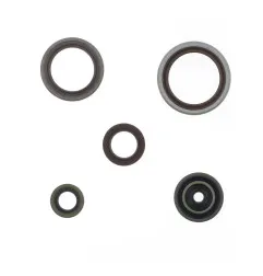 Kit de retenes de motor ATHENA para BETA RR 250, RR 300 de 2013 a 2026