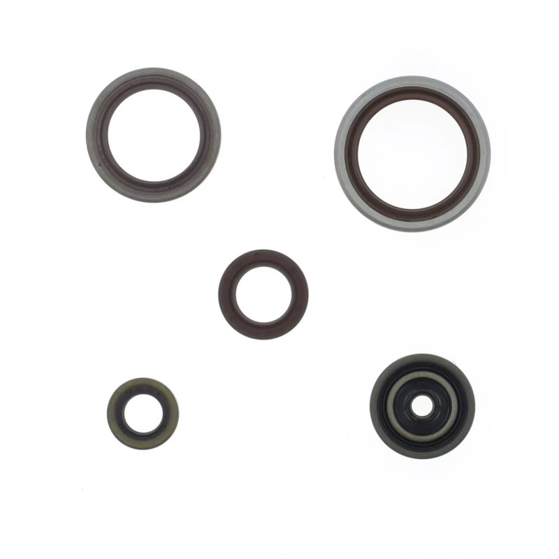 ATHENA Motor-Simmerringsatz für BETA RR 250, RR 300 von 2013 bis 2026