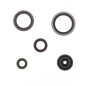 Kit joints spi moteur ATHENA pour BETA RR 250, RR 300 de 2013 à 2026