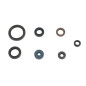 ATHENA engine oil seal kit for YAMAHA WR 450 F, YZ 450 F, YZ 450 FX from 2014 to 2019 ATHENA engine oil seal kit for YAMAHA WR 450 F, YZ 450 F, YZ 450 FX from 2014 to 2019