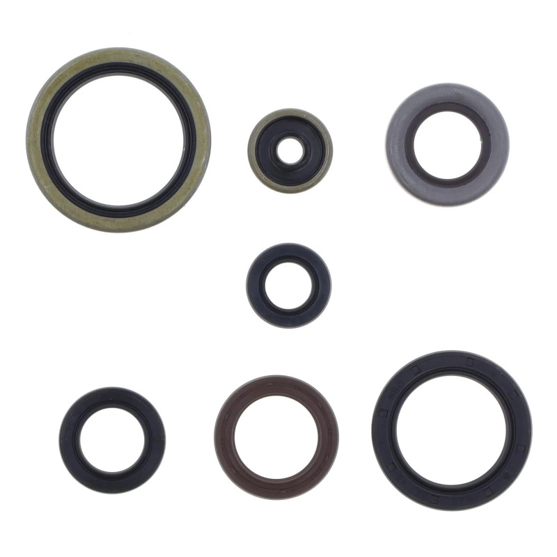 Kit de retenes de motor ATHENA para KTM SX 250, XC-W 300 TPI, HUSQVARNA TC 250, TE 300 y GAS GAS EC 250, EC 300 de 2017 a 2027 Kit de retenes de motor ATHENA para KTM SX 250, XC-W 300 TPI, HUSQVARNA TC 250, TE 300 y GAS GAS EC 250, EC 300 de 2017 a 2027