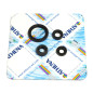 ATHENA engine oil seal kit for YAMAHA WR 450 F, YFZ 450 R, YFZ 450 RSE and GAS GAS EC 450 F, EC 450 RAID from 2004 to 2018 ATHENA engine oil seal kit for YAMAHA WR 450 F, YFZ 450 R, YFZ 450 RSE and GAS GAS EC 450 F, EC 450 RAID from 2004 to 2018