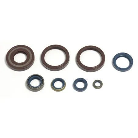 Kit de retenes de motor ATHENA para HUSQVARNA CR 250, WR 250, WR 300 de 1999 a 2013