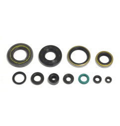 ATHENA Motor-Simmerringsatz für KAWASAKI KX 250 von 1995 bis 2004