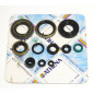 Kit joints spi moteur ATHENA pour KAWASAKI KX 250 de 1995 à 2004 Kit joints spi moteur ATHENA pour KAWASAKI KX 250 de 1995 à 2004