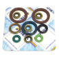 ATHENA engine oil seal kit for KTM SX 450 ATV, SX 505 ATV, SX-F 450, SX-F 450 RACING, XC 450 ATV from 2007 to 2012
