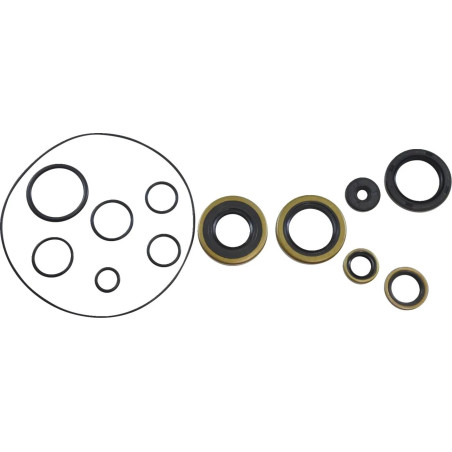 Kit de retenes de motor VINTCO para KAWASAKI KD 125, KE 125, KS 125, KX 125 A de 1974 a 1983