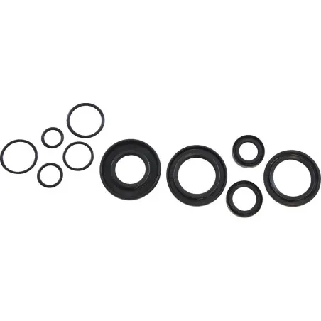 VINTCO engine oil seal kit for KAWASAKI KX 125 A from 1978 to 1979