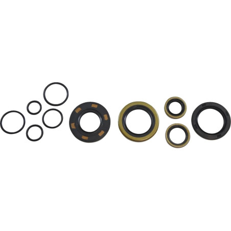 Kit de retenes de motor VINTCO para KAWASAKI KX 125 A de 1978 a 1979