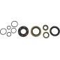 Kit de retenes de motor VINTCO para KAWASAKI KX 125 A de 1978 a 1979