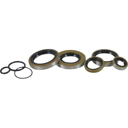Kit de retenes de motor VINTCO para KAWASAKI KX 250 de 1974 a 1976