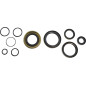 VINTCO engine oil seal kit for KAWASAKI KX 250 from 1978 to 1979