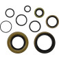 Kit de retenes de motor VINTCO para KAWASAKI KX 250 de 1978 a 1979