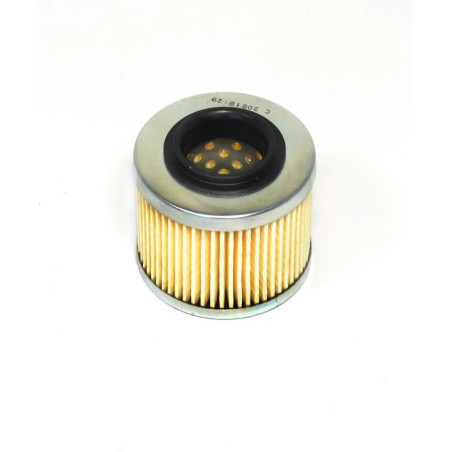 Filtro de aceite ATHENA para BMW F 650, APRILIA PEGASO 650, MZ SM 125 y CCM R30 650 de 1985 a 2016