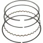 Set of Piston Rings Ø95 mm VERTEX for KTM EXC 500, EXC 525, EXCF 500, XC 525, HUSQVARNA FE 501, HUSABERG FE 501 and BETA RR 525 Set of Piston Rings Ø95 mm VERTEX for KTM EXC 500, EXC 525, EXCF 500, XC 525, HUSQVARNA FE 501, HUSABERG FE 501 and BETA RR 525