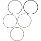 Segment VERTEX Ø98,95 mm pour YAMAHA WRF 450, YZF 450 et FANTIC XEF 450, XXF 450 de 2020 à 2024 Segment VERTEX Ø98,95 mm pour YAMAHA WRF 450, YZF 450 et FANTIC XEF 450, XXF 450 de 2020 à 2024