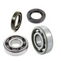 Kit rodamientos y retenes de cigüeñal WÖSSNER para KTM SX 50, SX 50 MINI, HUSQVARNA TC 50, TC 50 MINI y GAS GAS MC 50 Kit rodamientos y retenes de cigüeñal WÖSSNER para KTM SX 50, SX 50 MINI, HUSQVARNA TC 50, TC 50 MINI y GAS GAS MC 50