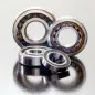 PROX Crankshaft Bearing 25x62x17mm for KTM EXC 150, SX 150, HUSQVARNA TE 150, HUSABERG TE 125 and GAS GAS MC 125 2012-2025
