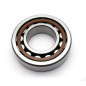 NTN Kurbelwellenlager 30x62x16mm für GAS GAS EC 250, BETA RR 525, HUSQVARNA TC 125 und HUSABERG TE 125 von 1998 bis 2023 NTN Kurbelwellenlager 30x62x16mm für GAS GAS EC 250, BETA RR 525, HUSQVARNA TC 125 und HUSABERG TE 125 von 1998 bis 2023