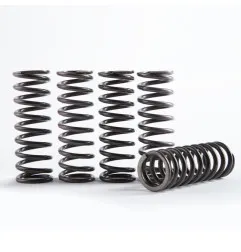 HINSON Hi-Temp Clutch Spring Kit - Suzuki / Kawasaki