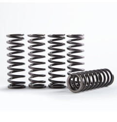 HINSON Hochtemperatur Feder-Kit für Kupplung für KAWASAKI KX 450, KX 450 X, KXF 450 2021-2027