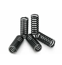 Kit de muelles de embrague TECNIUM para HONDA CRF 250 de 2010